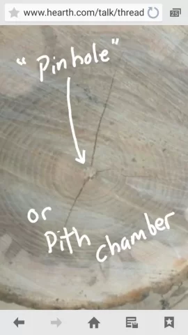 [Hearth.com] Let's play, Is It Oak or Ash?