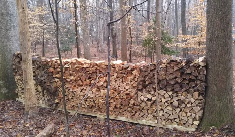 [Hearth.com] My New Year's Project