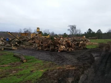 [Hearth.com] Wood for life?