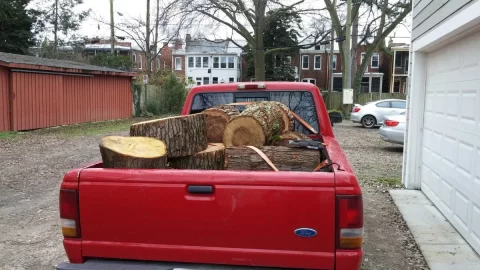 [Hearth.com] Wood for life?
