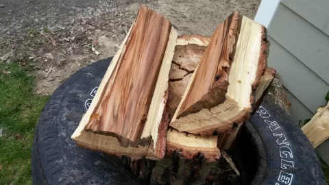 [Hearth.com] Wood id please