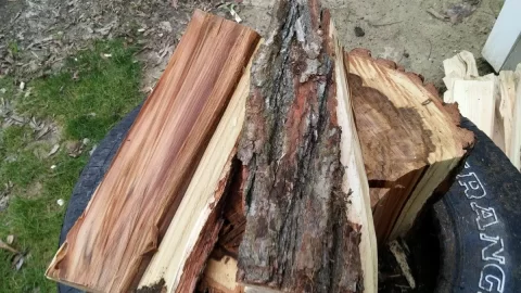 [Hearth.com] Wood id please
