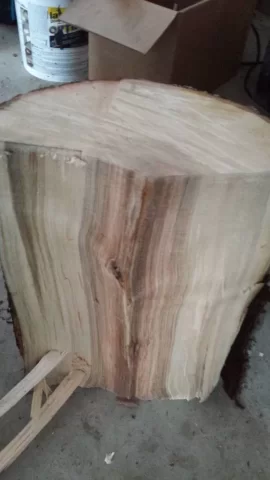 [Hearth.com] what type of maple is this?