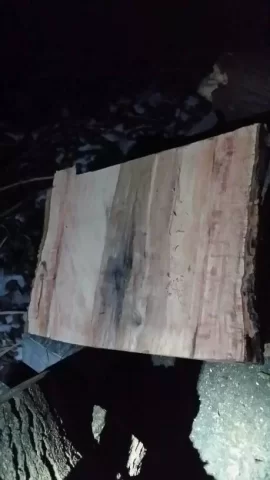 [Hearth.com] First Wood Scrounge and ID