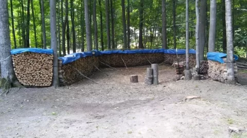 [Hearth.com] My New Year's Project