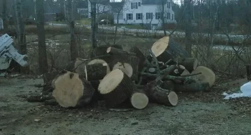 [Hearth.com] Unexpected wood score
