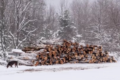 [Hearth.com] Good Through Spring of 2020