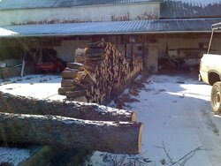 My firewood processing area and next season stack.