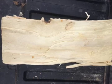 [Hearth.com] Wood id