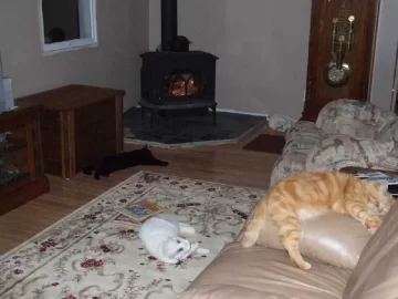 [Hearth.com] Replacing Pellet stove with wood stove