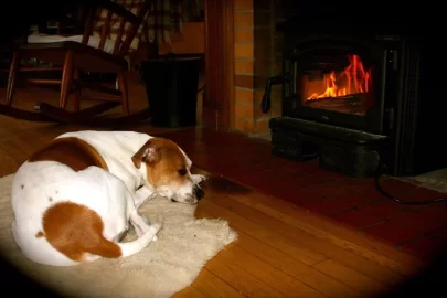 [Hearth.com] Replacing Pellet stove with wood stove