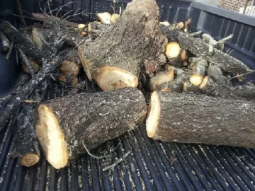 [Hearth.com] Smoker & Grilling Wood Profits?