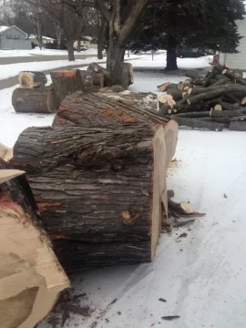 [Hearth.com] Wood ID