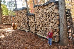 How to season wood correctly.