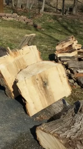 [Hearth.com] First Wood Scrounge and ID