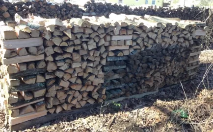 [Hearth.com] Cut some Red and white oak