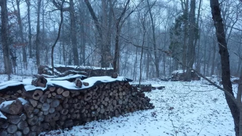 [Hearth.com] Keeping warm in the snow!