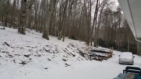[Hearth.com] Keeping warm in the snow!
