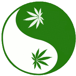 animated-hemp-marijuana-gif-8.gif