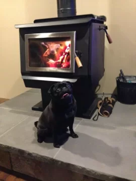 [Hearth.com] Raised Hearth, slate application
