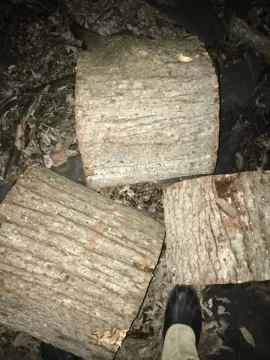 [Hearth.com] Need help with ID