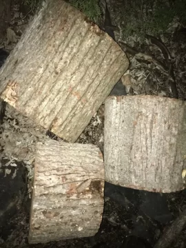 [Hearth.com] Need help with ID