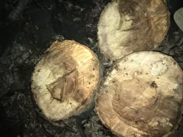 [Hearth.com] Need help with ID