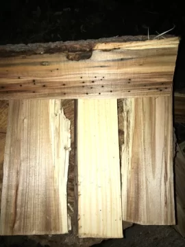 [Hearth.com] Need help with ID