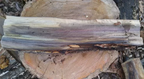 [Hearth.com] Need help with ID