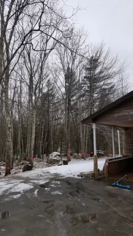 [Hearth.com] A little tree work around the house.