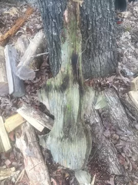 [Hearth.com] Fat wood