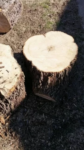 [Hearth.com] Wood ID