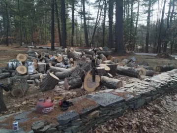 [Hearth.com] Last two days work
