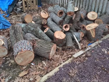 [Hearth.com] Oak score