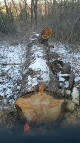 [Hearth.com] Aging woodburner