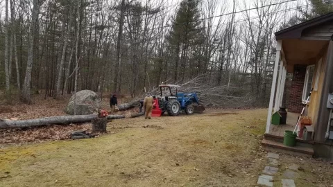 [Hearth.com] A little tree work around the house.