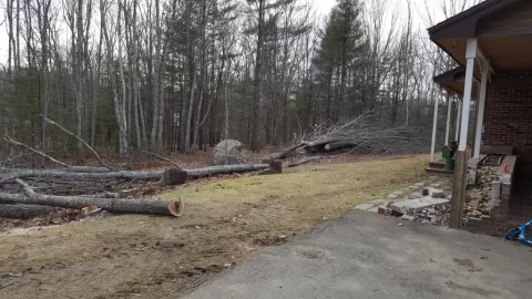 [Hearth.com] A little tree work around the house.