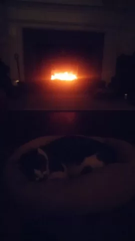 [Hearth.com] Cozy...