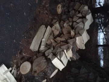 [Hearth.com] Help ID My Scrounge