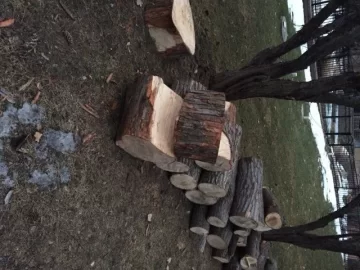 [Hearth.com] Help ID My Scrounge
