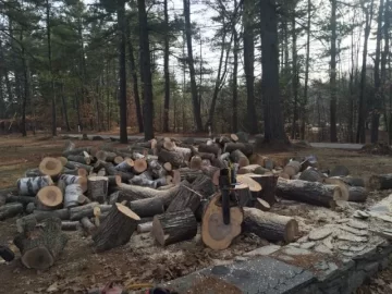 [Hearth.com] Last two days work