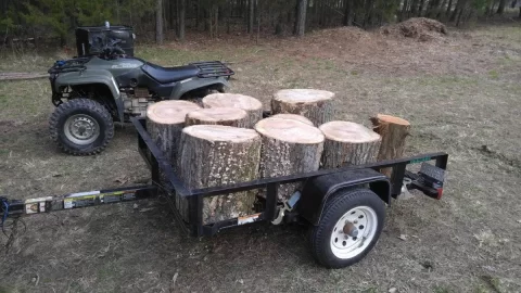 [Hearth.com] Sure dad, I'll come trim a couple standing dead from the property line