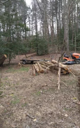 [Hearth.com] Sure dad, I'll come trim a couple standing dead from the property line