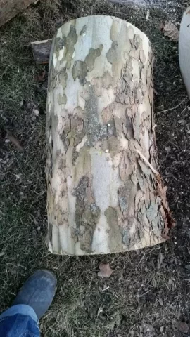 [Hearth.com] ID this wood...please