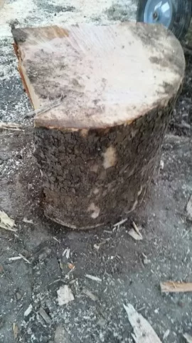 [Hearth.com] ID this wood...please