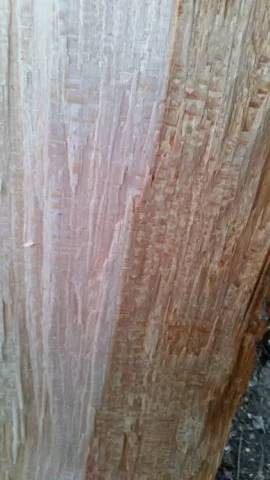 [Hearth.com] ID this wood...please