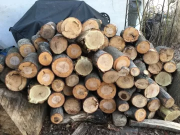 [Hearth.com] Help Wood ID