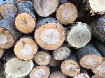 [Hearth.com] Help Wood ID