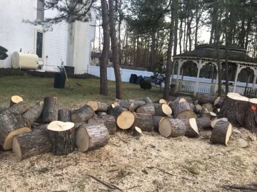 [Hearth.com] What kind of wood is this?
