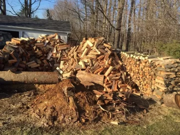 [Hearth.com] Spring cleaning